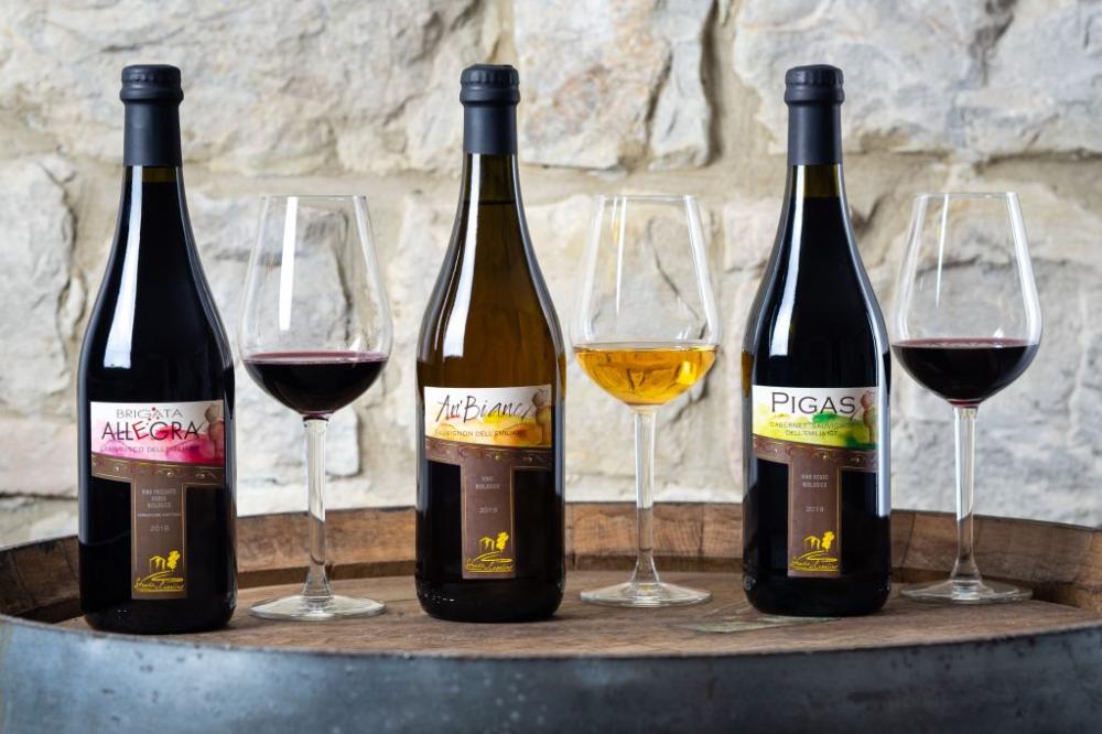 Strada del Casalino di Federico Salavolti