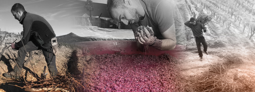 Pasquale Bonamici - Mamoiada 