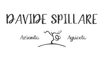 Davide Spillare