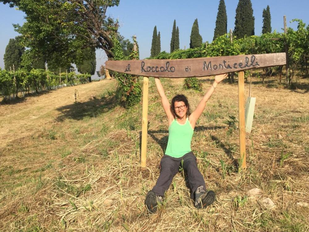 Il Roccolo di Monticelli