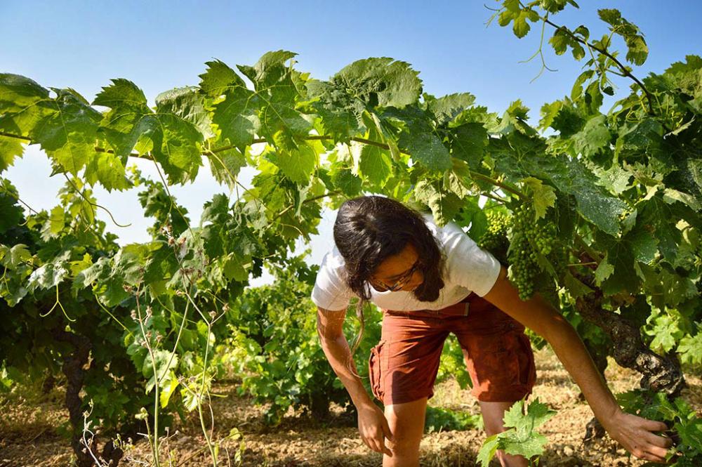 Domaine de Courbissac