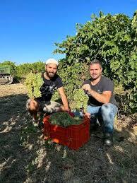 PiedeFermo_craftwine