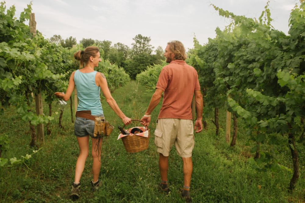 Cantina Casali Magnis