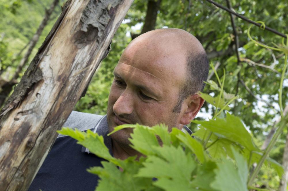 Alla Costiera di Filippo Gamba 