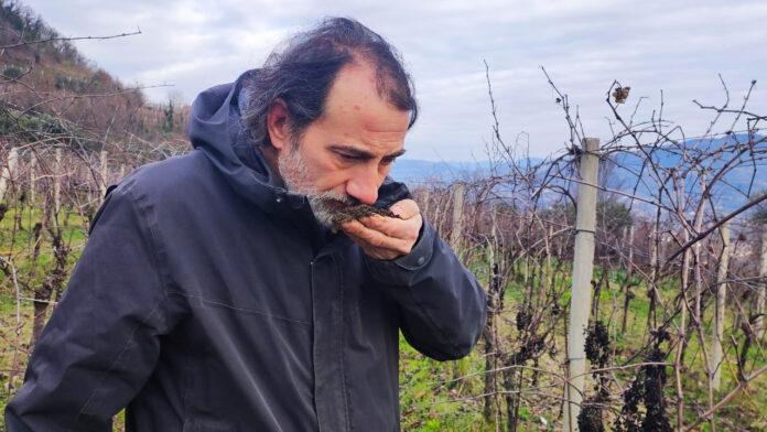 NOÛS - I vini di luce di Alessandro Filippi