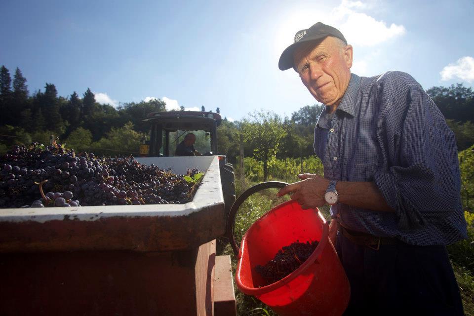 Fattoria di Sammontana