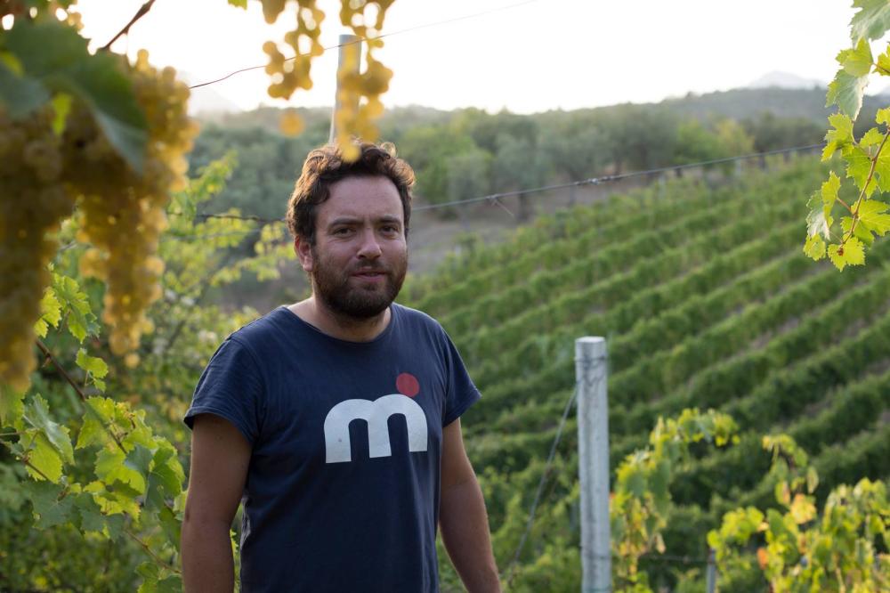 Giovanni Iannucci - Vignaioli Campani Uniti